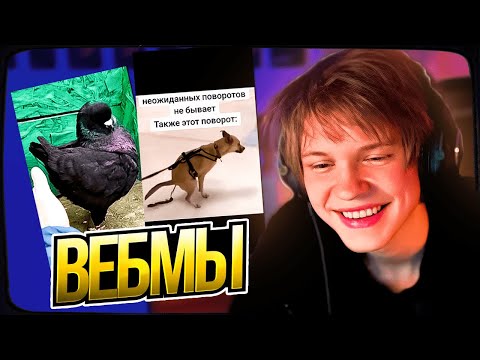 Видео: ДИПИНС СМОТРИТ СМЕШНЫЕ ВИДЕО ОТ ПОДПИСЧИКОВ | ВЕБМЫ ТГ