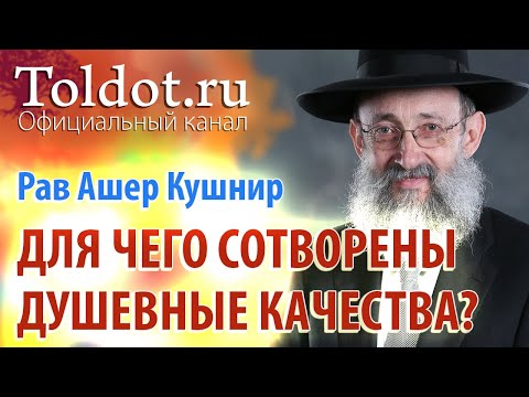 Видео: Рав Ашер Кушнир. Для чего сотворены душевные качества? Обязанности сердец 58