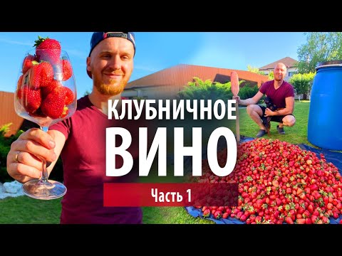 Видео: Клубничное вино в домашних условиях | Часть 1