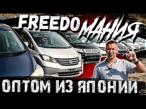 Видео: HONDA FREED 🚘 HONDA FREED SPIKE 🚘 Цены, состояние, комплектации.