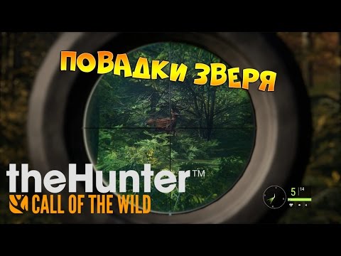 Видео: theHunter Call of the Wild #2 - Правильно охотимся на косулю | Повадки зверя
