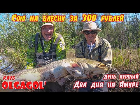 Видео: СОМ 30 кг на блесну за 300 руб. Два дня на Амуре (день первый)