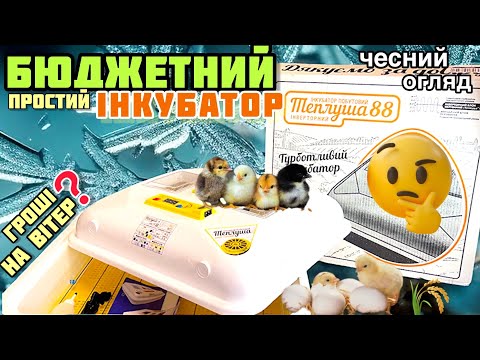 Видео: Простий ІНКУБАТОР Теплуша 88‼️Гроші на вітер⁉️Що з килимком⁉️Огляд та розпаковка