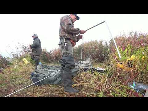 Видео: КРУЖКИ МОЛЧАТ, ВСЯ РЫБА НА ДОНКИ...
