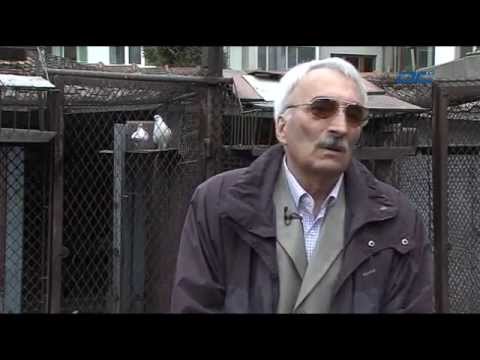 Видео: "Знаете ли как" -  Гълъбовъд - 04.04.2015