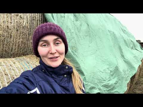 Видео: О сене и его хранении, опыт 3-х лет применения шутц-флис для сена/соломы Лелаф. Молодая ферма, Дарья