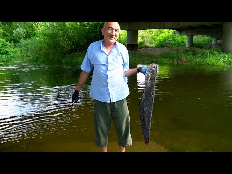 Видео: КАК приготовить СОМА очень вкусно. СОМ в соляной скорлупе