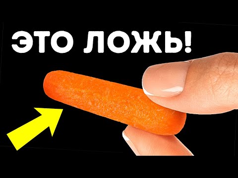 Видео: 101 случайный факт для поддержания любого разговора