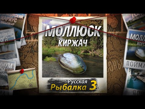 Видео: "Мутант" Моллюск. Киржач. Русская Рыбалка 3.