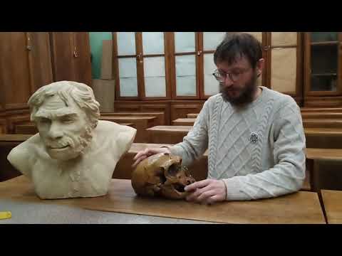 Видео: Станислав Дробышевский. Метод Михаила Герасимова. Научные методы в антропологии. Серия 1.