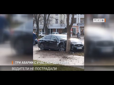 Видео: Три аварии с участием деревьев