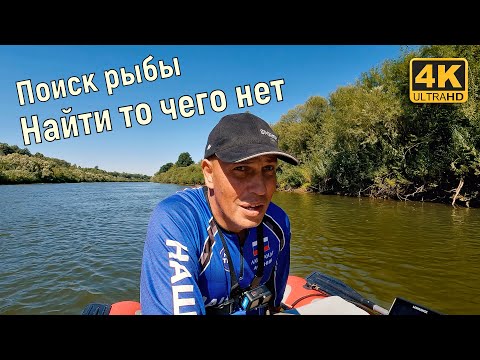Видео: Поиск рыбы на Смоленском Днепре. Рыбалка на спиннинг в августе 2022