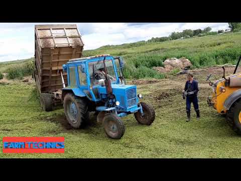 Видео: Заготовка силоса. Сезон 2019. МТЗ-80 буксует.