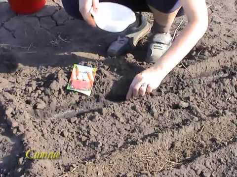 Видео: 9_Весна