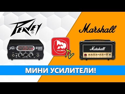 Видео: Обзор двух малышей Peavey 6505 Piranha и Marshall DSL1 Head