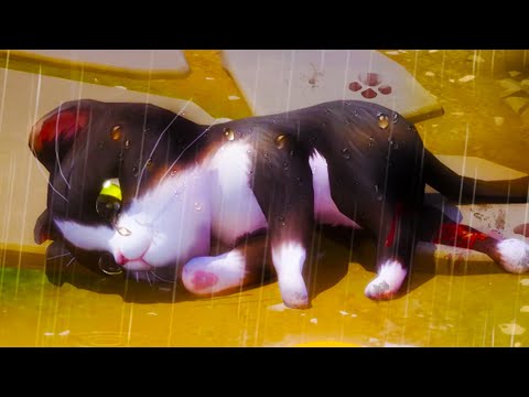 Видео: Котята Кида в Kitten Match #1 Симулятор Котов Три в Ряд. Кид спас котов на Пурумчата