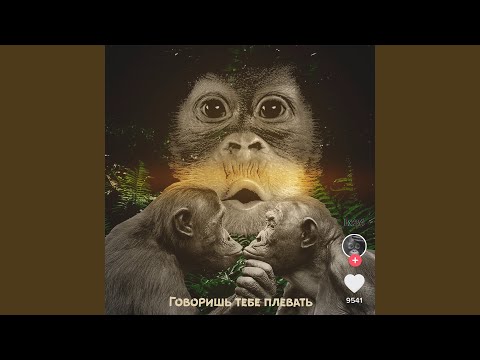 Видео: Говоришь тебе плевать (For Challenge)