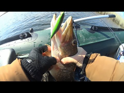 Видео: МОРЕ ЩУКИ !!!. Открытие сезона Веселовское водохранилище конец марта 2021 г.