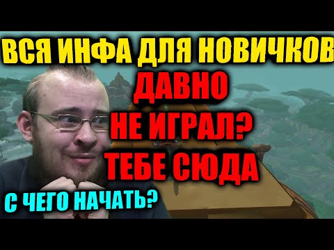 Видео: ЧТО ДЕЛАТЬ НОВИЧКУ В WOW? ОТ А ДО Я, СЕРДЦЕ АЗЕРОТ, ЛЕГЕНДАРНЫЙ ПЛАЩ, АДДОНЫ, МАКРОСЫ, ПОЛЕТЫ И Т Д