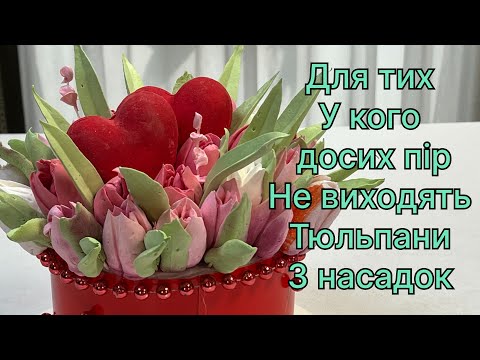 Видео: Після цього відео ви точно зрозумієте як відсадити тюльпани з насадок 👍