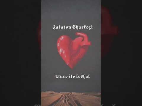 Видео: Zalatoy Sharkozi Muro ilo loshal                                      Золотой Шаркози Муро ило лошал