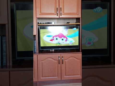 Видео: Фрагмент викторина Зака 19.03.25 Тижи