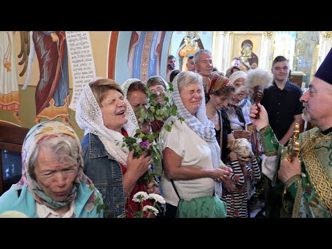 Видео: День Святой Троицы: проповедь, окропление, поздравление.