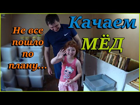 Видео: Цикл откачки меда 2021! Мед Разнотравье! Качественный мед Алтая!