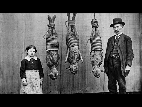 Видео: 100 РЕДКИХ фотографий, которые НИКОГДА не показывали публике