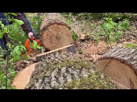 Видео: Обзор Husqvarna 353. Сравнение цепей Still и Husqvarna.
