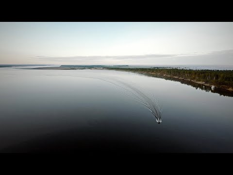 Видео: КРОКОДИЛ ПРЁТ в КОРЯГИ / ОКУНЬ в ОТВЕС ОДИН за ДРУГИМ / РЫБАЛКА на СЕВЕРЕ