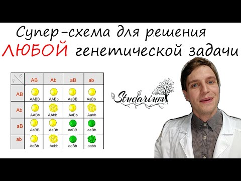 Видео: Супер-схема для решения ЛЮБОЙ 😍 генетической задачи
