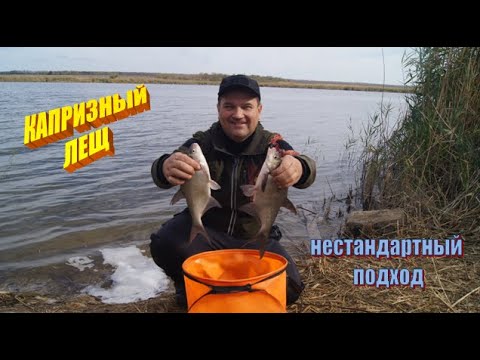 Видео: РЫБАЛКА на капризного ОКТЯБРЬСКОГО ЛЕЩА. Нестандартный подход и мини-бойлы "Donbass Fishing".