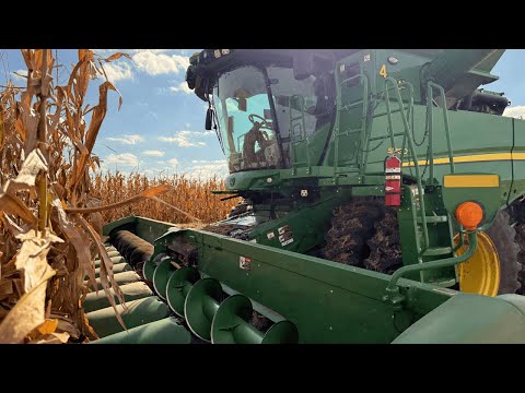 Видео: Поломка грузовика ПРЕРЫВАЕТ сбор кукурузы!