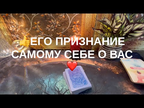 Видео: 12 ноября 2025 г.