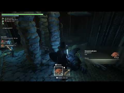 Видео: Новая история.  Enshrouded #9