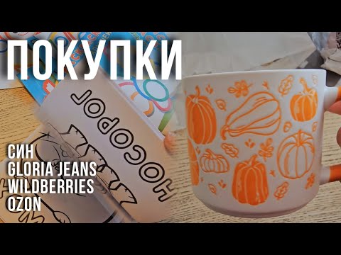 Видео: шопинг влог | СИН, Wildberries, OZON, Gloria Jeans | отдыхаем в игровом центре