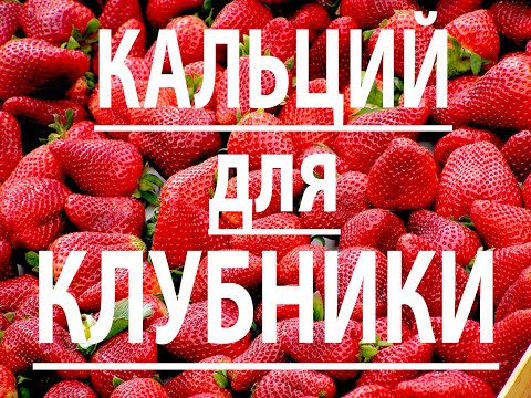 Видео: Кальций для клубники.