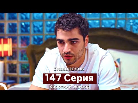Видео: Зимородок 147 Cерия (Короткий Эпизод) (Русский дубляж)