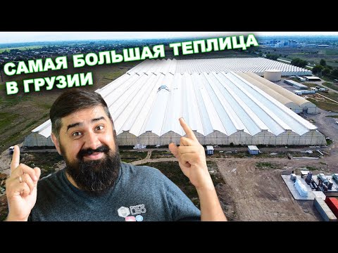 Видео: Самая Большая Теплица в Грузии и Альтернативная энергетика