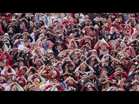 Видео: Радость живого общения ничем заменить нельзя, даже искусственным интеллектом или резиновой бабой