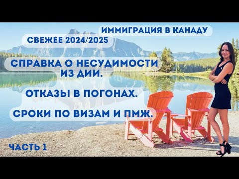 Видео: Справка о несудимости из Дии. Отказы в погонах. Сроки по визам и ПМЖ 2024/2025