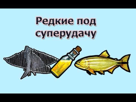 Видео: Русская Рыбалка 3.99 (Russian Fishing) Ловим редкости под суперудачу #2