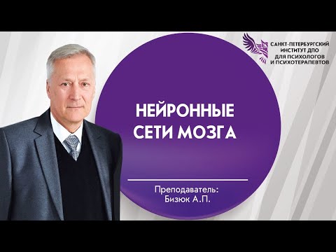 Видео: Нейронные сети мозга