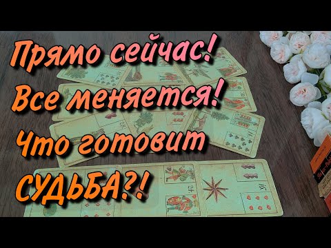 Видео: 🍀Ваша🪬СУДЬБА в ближайшее время‼️