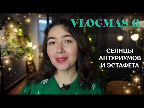 Видео: Эстафета ЦВЕТОЧНЫХ БЛОГЕРОВ | поливаю СЕЯНЦЫ АНТУРИУМОВ | НОВОГОДНИЙ vlogmas 6