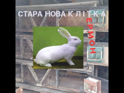 Видео: Нова стара клітка, термонці