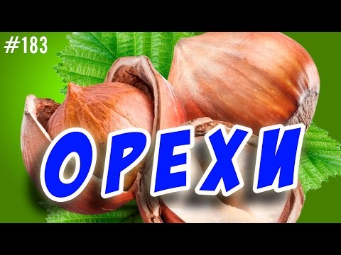 Видео: орехи.