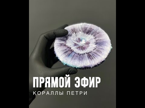 Видео: Техника Кораллы Петри - прямой эфир (+ скидка 10% на материалы)