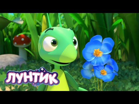 Видео: Лунтик 💐 Букет для Милы 💐💐💐 Сборник мультиков для детей